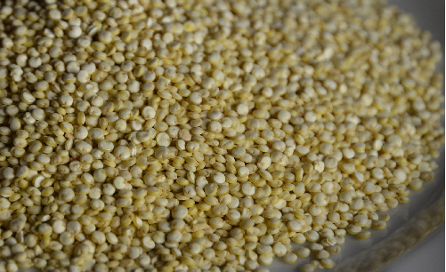 Mehr über den Artikel erfahren Quinoa – das Gold der Inka – Eine der besten pflanzlichen Eiweißquellen auf der Welt