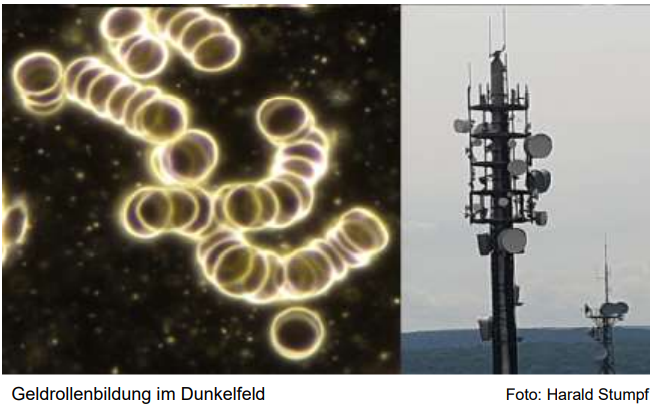 Mehr über den Artikel erfahren ELEKTROSMOG IST NICHT GEFÄHRLICH!…???