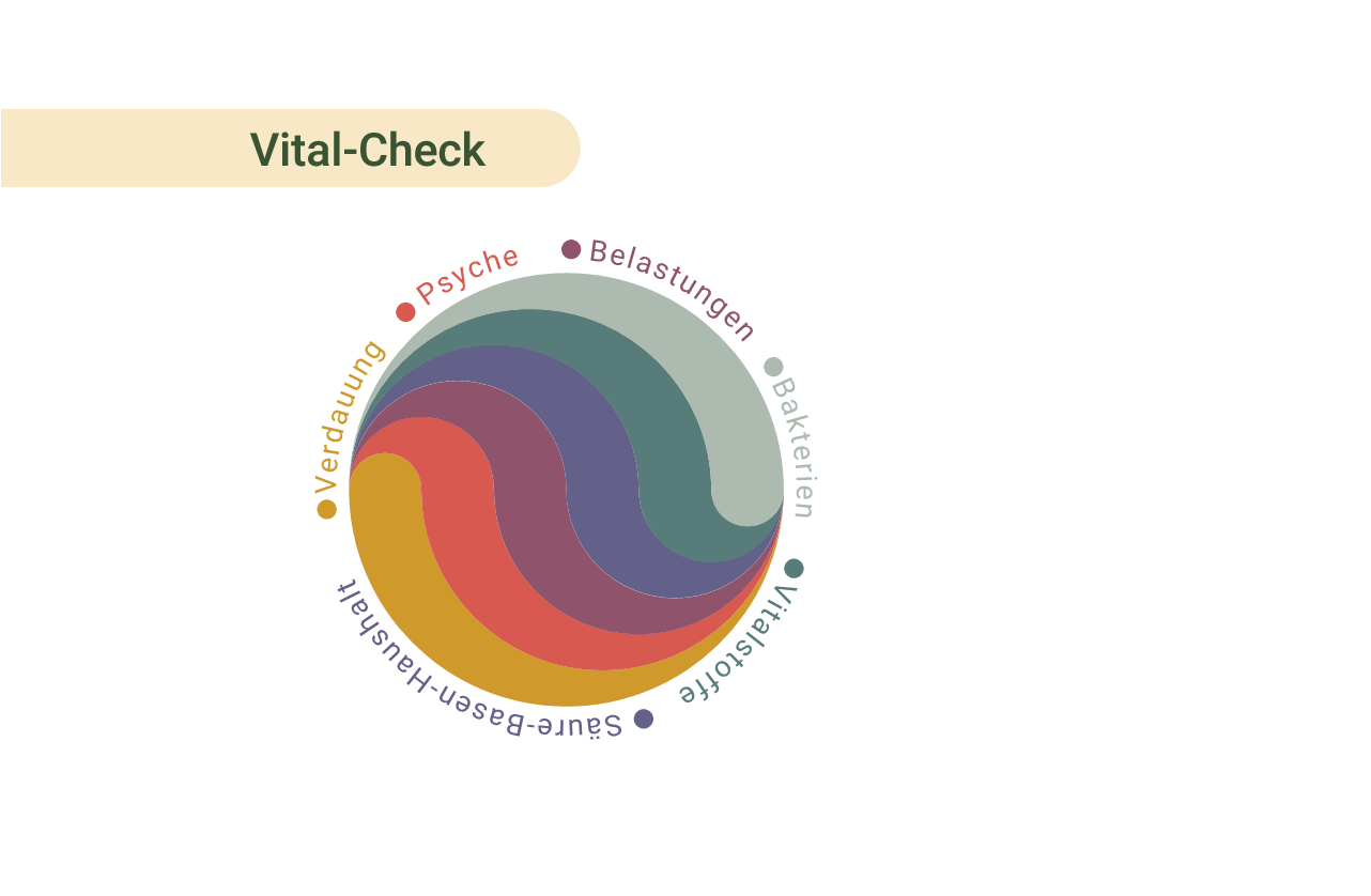 Du betrachtest gerade Darm, Milieu, Vitamine, Entgiftung – Gesundheit per Vital-Check