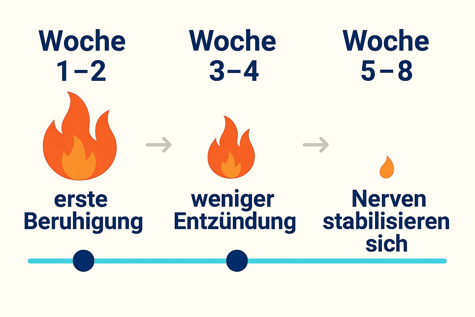 PEA-Wirkung über 8 Wochen: Beruhigung, Entzündung, Nervenstabilisierung