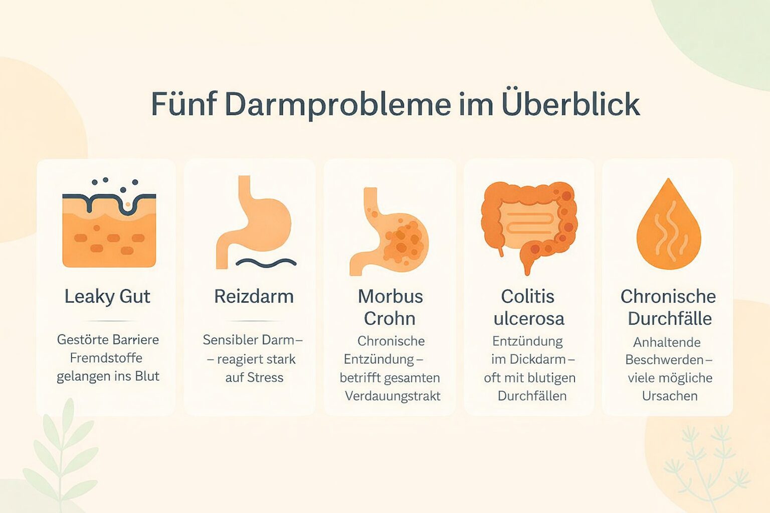 Fünf Darmprobleme