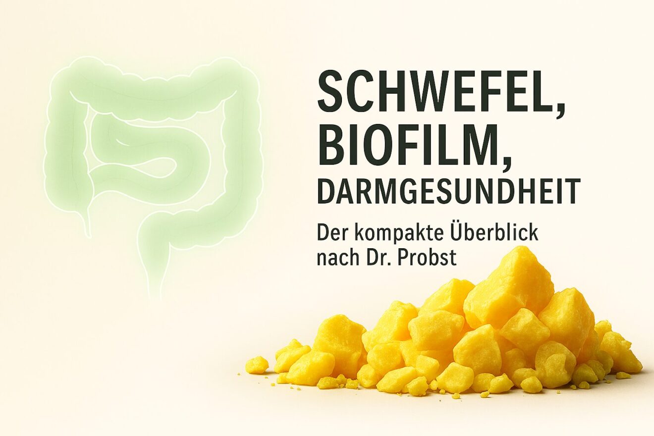Ein alternativer Ansatz für Menschen mit Darmproblemen, Leaky-Gut und Nahrungsmittelunverträglichkeiten