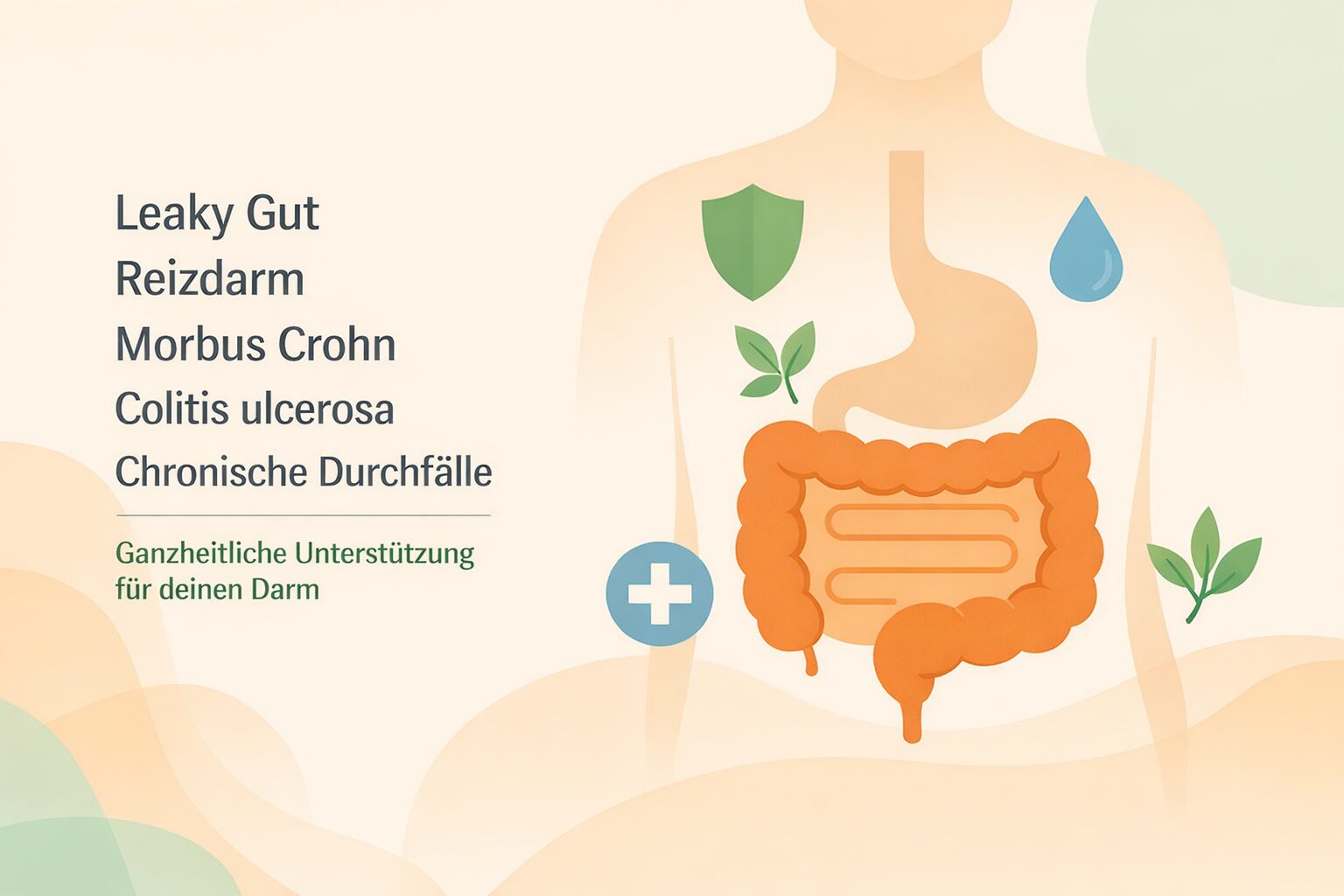 Leaky Gut, Reizdarm, Crohn